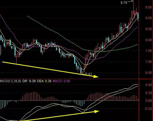 股票指标背离为什么还涨