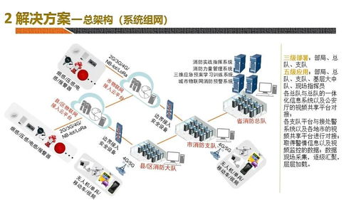 职业规划设计备选方案100字