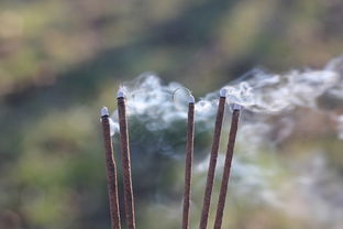 清明节的哀思与传承，清明作文高中议论文