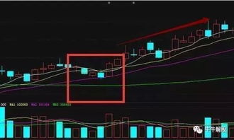 超跌状态下直接打跌停板庄家怎么赚钱