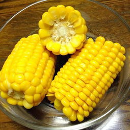 水果玉米是水果吗是蔬菜还是水果,水果玉米可以速冻吗？