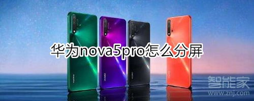 nova5pro 怎么分屏？