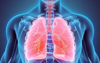 肺癌为什么做基因检测,并不仅仅为了选择靶向药物