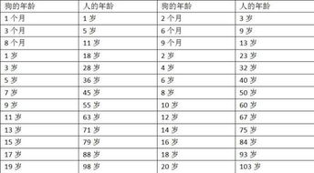 小狗4岁等于人多少岁 