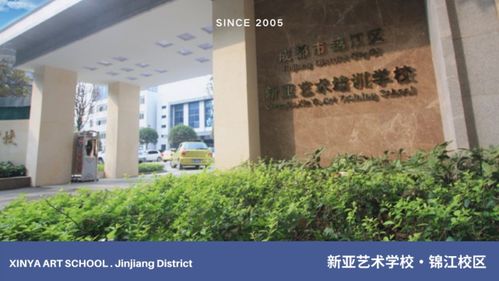 成都新亚的收费标准 成都市新亚艺术学校的专业设置