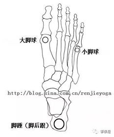 绕地球4周的足