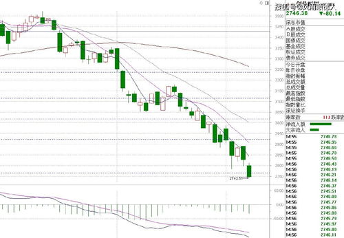 光伏龙头股排名前十：福斯特在10月13日下跌了4.19%