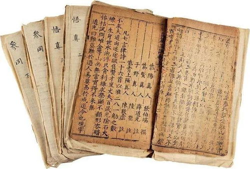 此书是道教重要典籍,记录了修炼秘诀,据说孙悟空的名字从它而来