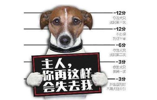 山东济南推出 养犬计分制 是怎么回事 