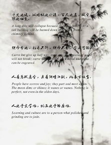 关于花的诗句英文翻译