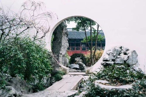 李子柒首次公开豪宅,暴露出背后最悲哀的一幕 中国式审美,太可怕了