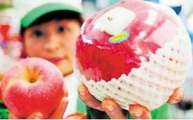 杭州 世界一号 苹果价格跳水 最高4444元降至20元