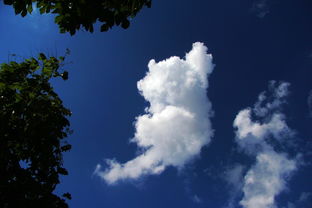 蓝天白云 向往的环境 2012年8月1日