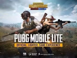 pubg新国官网在哪下载 最新官方下载安装地址