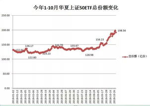 股票帐户除了买股票还能买什么：场内ETF和可交易货基