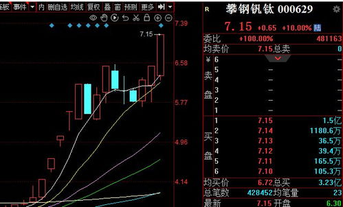 深股通专用是什么机构