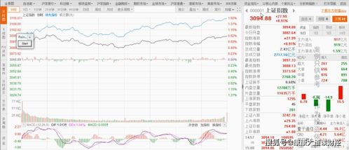 创业板股票好炒吗？