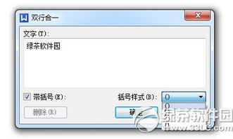 wps双行怎么合一，wps双行合一怎么换行(wps office 双行合一)