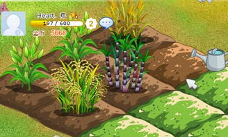 QQ农场2级玩家怎么可以种13级作物 