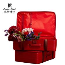 红色嫁妆箱