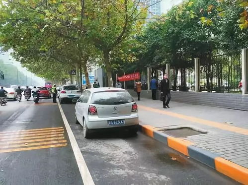 合肥市哪里可以长时间停车(合肥紫竹苑免费停车场在哪)