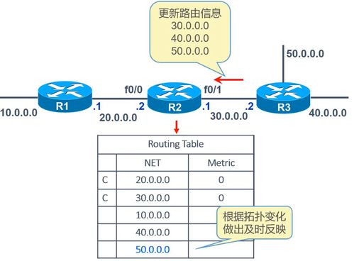 路由的概念