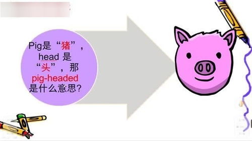 猪的英语表达方面有几个除了pig，还有其他
