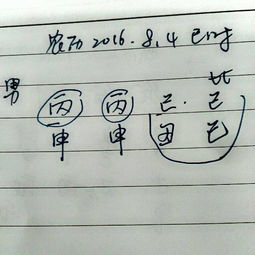 丙申年丙申月己丑日己巳时的男八字是不是双飞格 