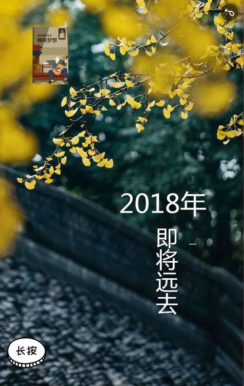 如果用一个字形容你的2018,你会选哪个字 