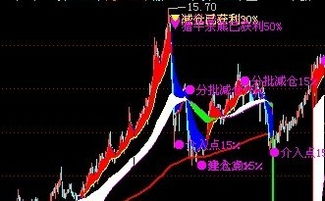 怎么把综合选股公式加入预警