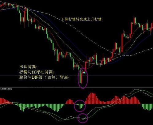 请问在股票前面加上"；ST、S、*ST、SST、XD、X”是什么意思呀？有谁知道，能告诉我吗？谢谢！！！