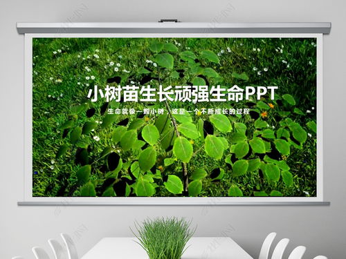 震撼视频开场绿色小树苗生长PPT模板PPT下载 