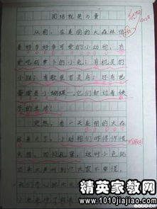 记一次运动会作文400字5篇