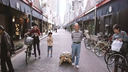 老翁带70公斤巨龟街上散步成网红 5分钟路程1小时才走完 