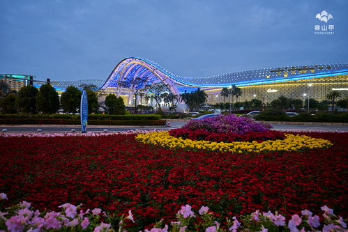 去三亚旅游能花多少钱(去三亚游玩一次大概需要多少钱)