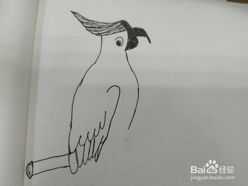 小鸟简笔画怎么画,怎么画站在树枝上的小鸟 
