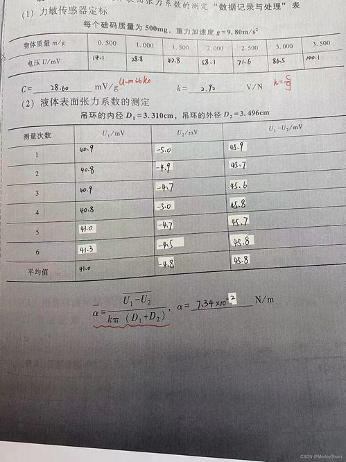 实验报告数据