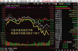 08年6000点暴跌的过程中,有没有逆势狂涨的股票?