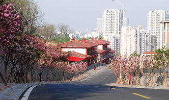 用新概念建设青岛 看看岛城那些风情各异的各种 小镇 组图 