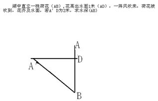 关于勾股定理的数学题，路过的看看啊！！！！