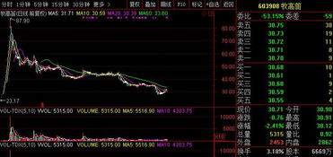 股票跌成这样，公司老总无动于衷吗