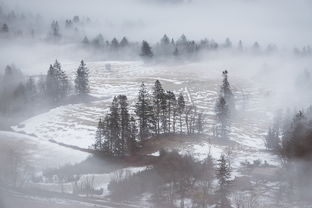 雪天之景，诗意之美，描写雪天的词语 四个字