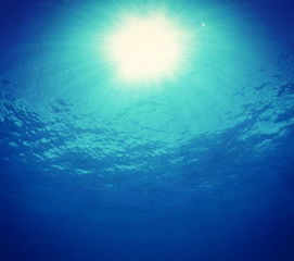 处女座 八千米深海,七厘米蔚蓝,你是我永生不遇的海