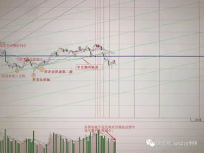 低位还在无量下跌怎么办