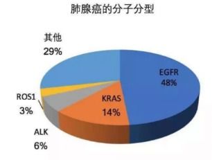 肺癌基因检测攻略 值得收藏