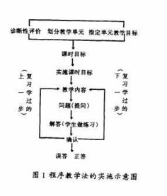 程序教学法的成果形式 