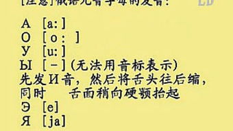 凛冽怎么读?凛冽的近义词与反义词有哪些??凛冽的意思和读音是什么