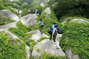 隐于市 这些鲜为人知的景点,厦门本地人都未必全知道