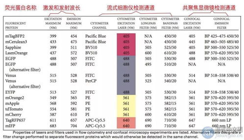 荧光蛋白在哪个通道检测效果最好 如何搭配多个荧光蛋白