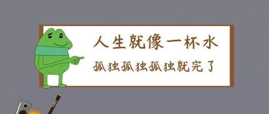 美国留学生出勤率过低被学校开除了怎么办